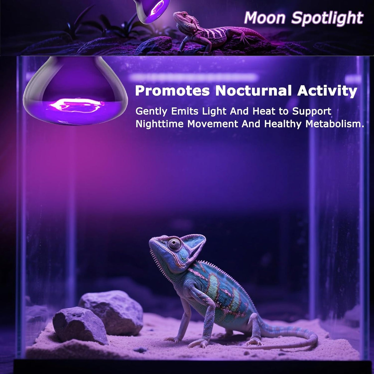Reptile Night Heat Bulb 75W Purple UVA Basking Lamp E26 2 Pack