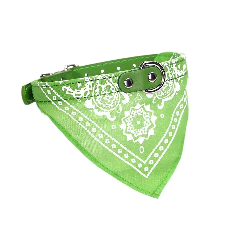Adjustable PU Dog Cat Collar with Detachable Scarf | Pet Accessories for Small Medium Dogs and Cats