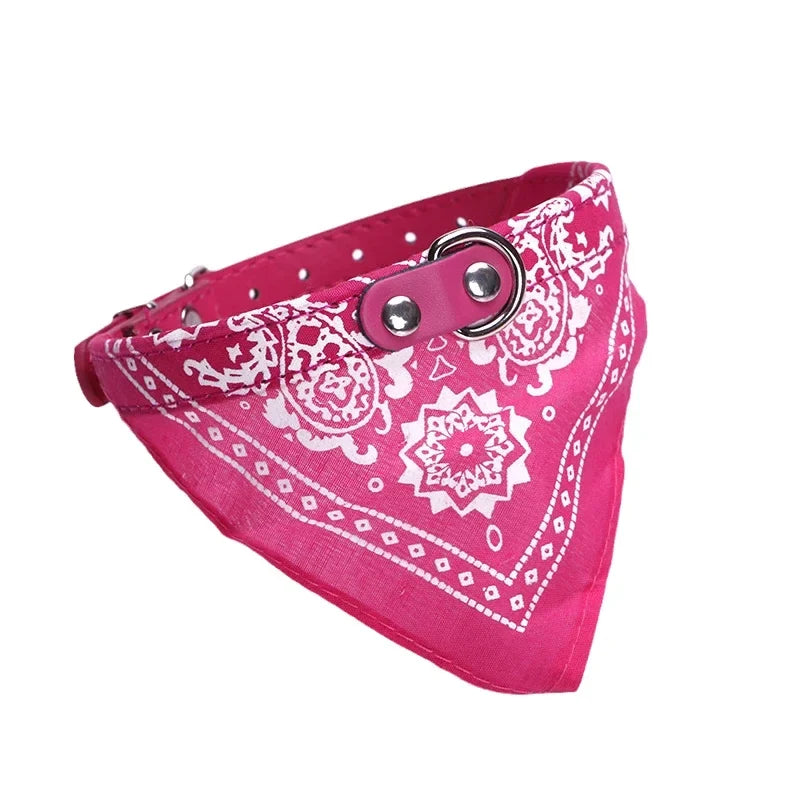Adjustable PU Dog Cat Collar with Detachable Scarf | Pet Accessories for Small Medium Dogs and Cats