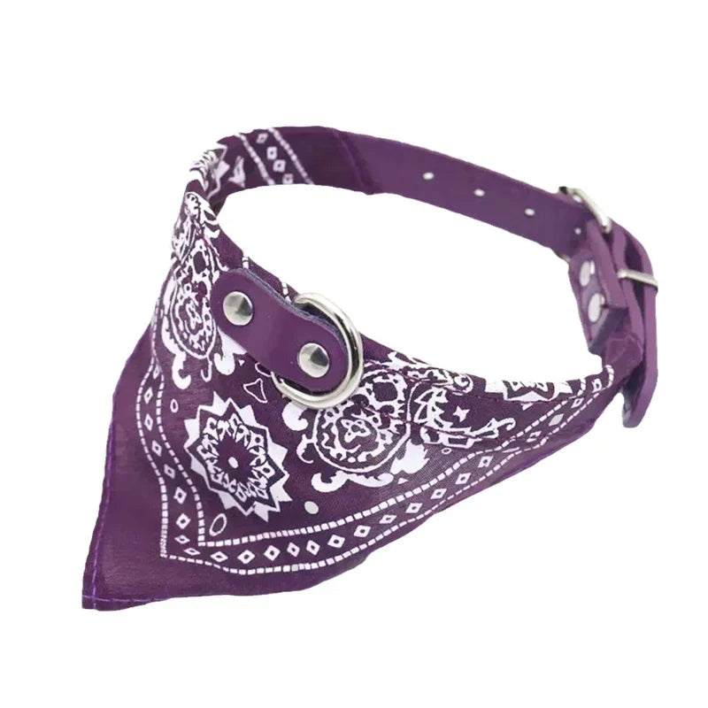 Adjustable PU Dog Cat Collar with Detachable Scarf | Pet Accessories for Small Medium Dogs and Cats